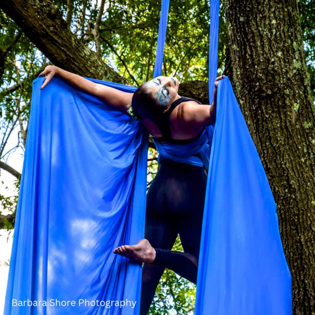 麻雀空中馬戲團主持人