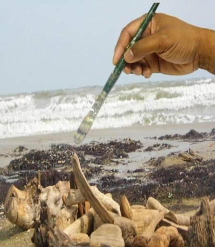 埃弗雷特·梅奧又名 " 森林之王 "